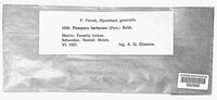 Stemphylium vesicarium image